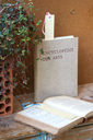 DSC00382.webp