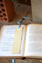 DSC00394.webp