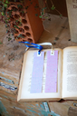 DSC00411.webp