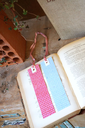 DSC00412.webp