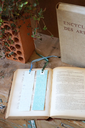 DSC00423.webp