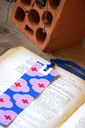 DSC00242.webp