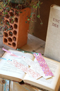 DSC00264.webp