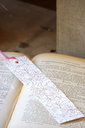 DSC00278.webp