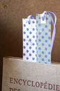 DSC00318.webp