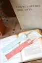DSC00350.webp